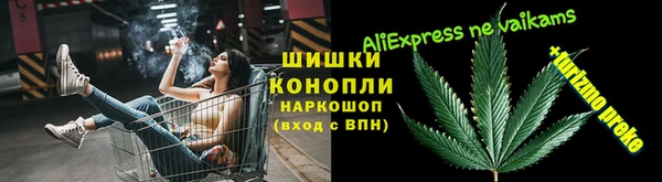 мдпв Осташков
