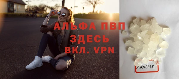 сатива Пестово