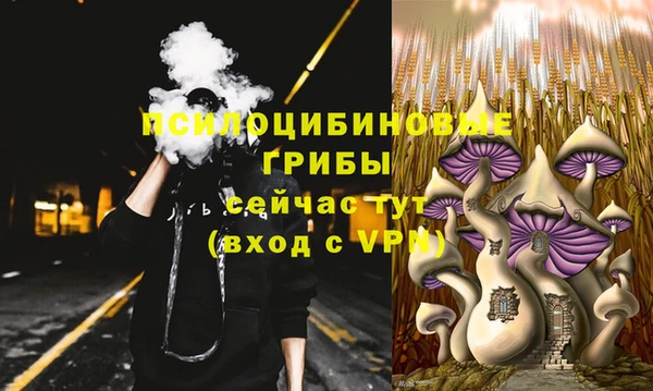 мдпв Осташков