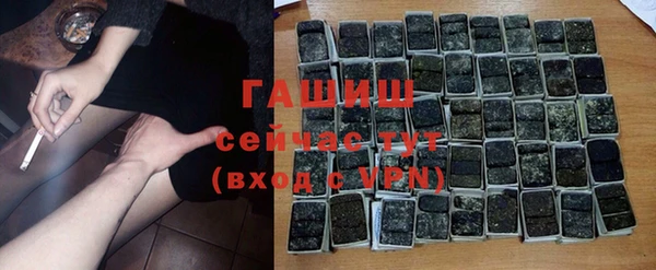 мдпв Осташков
